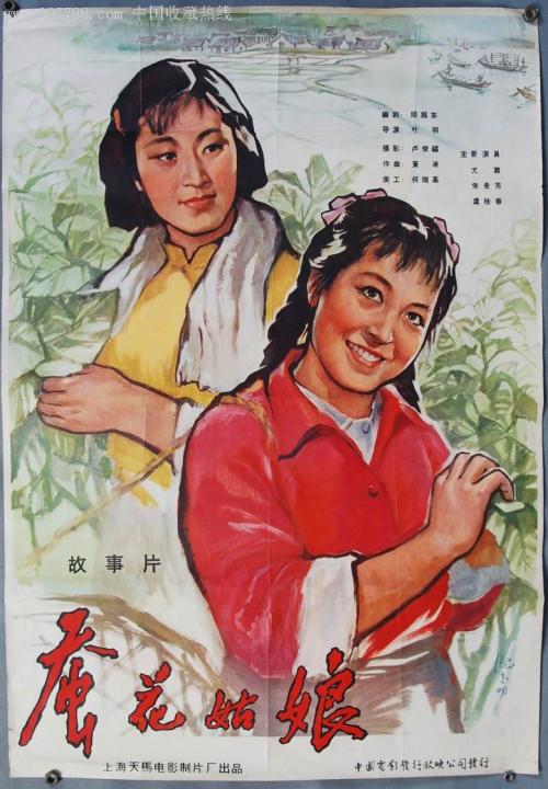 做假爱尔兰驾驶执照